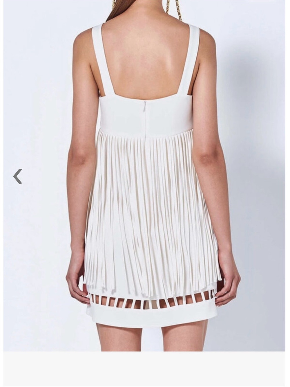 Alexis Saskia Fringe Mini Dress - Picture 2 of 4